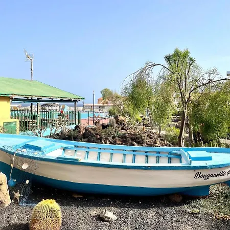 Sunlight In Apartment